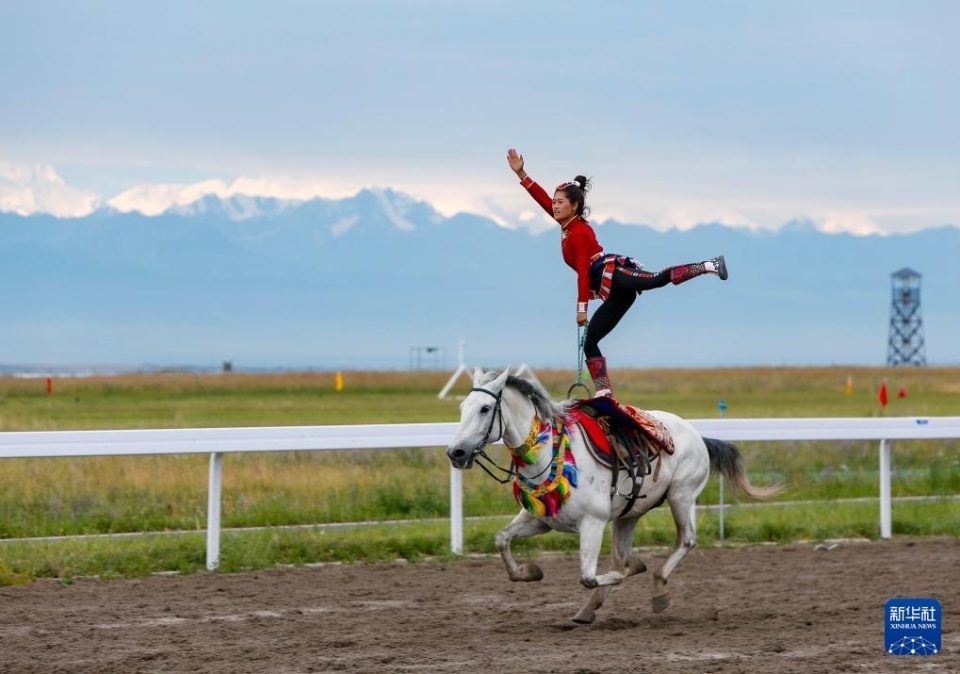 黄蜂和步行 黄蜂和步行