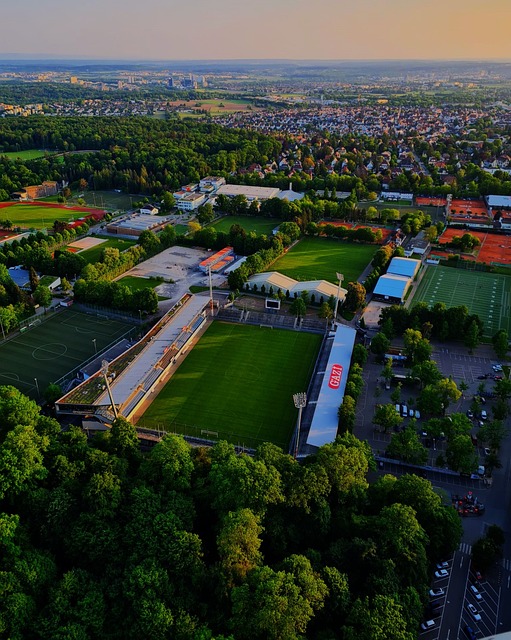 这充分展现 这充分展现