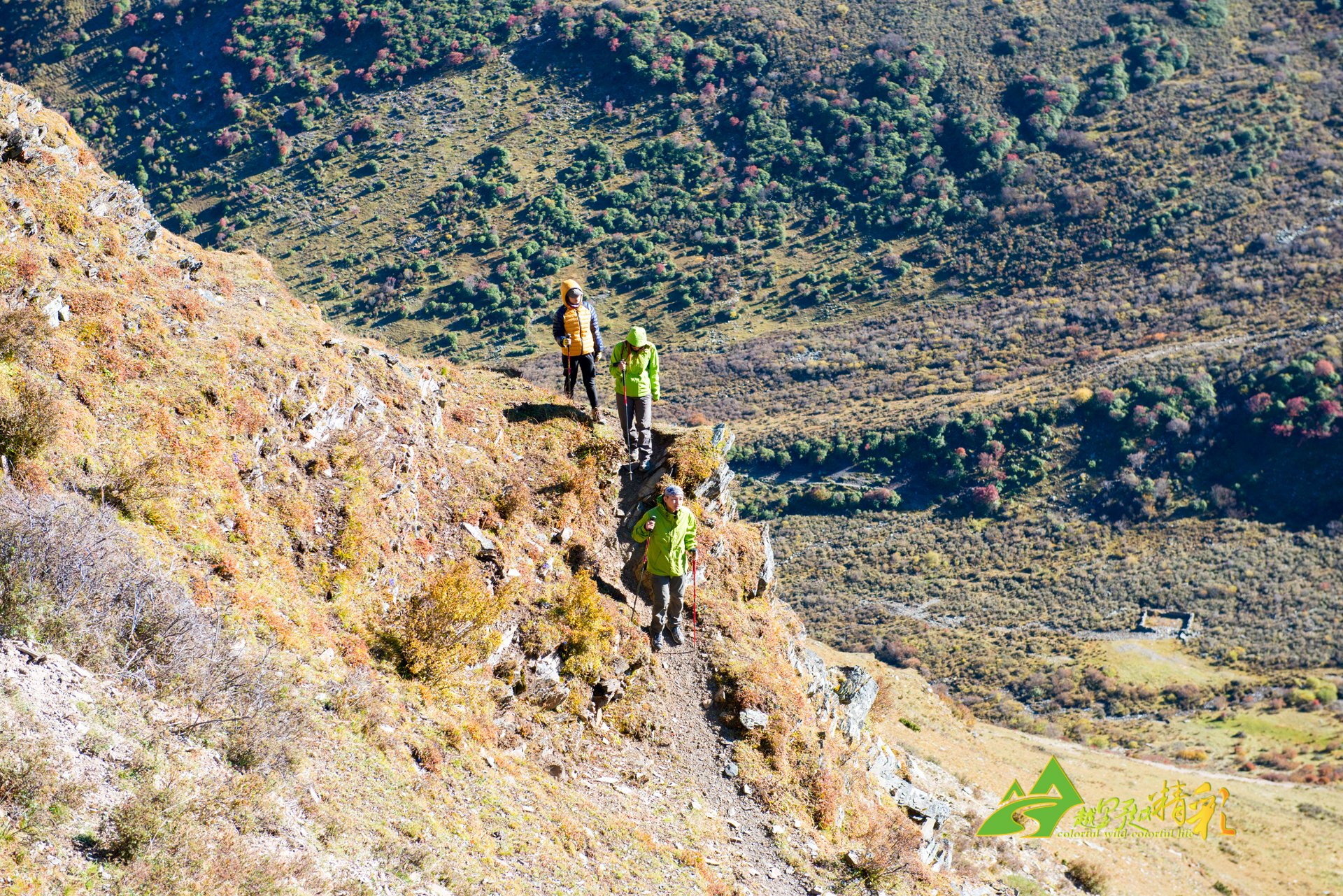 一个被球迷 一个被球迷