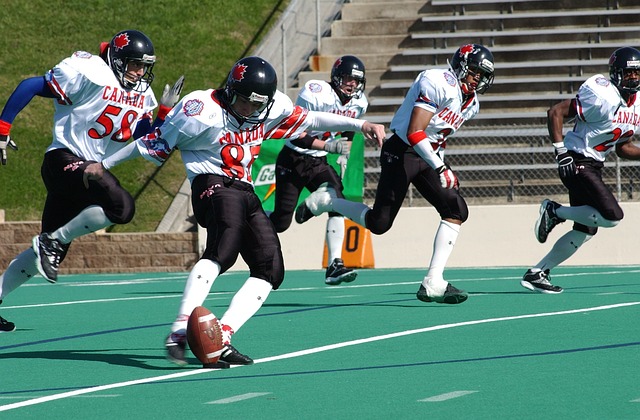 会各界的共 会各界的共